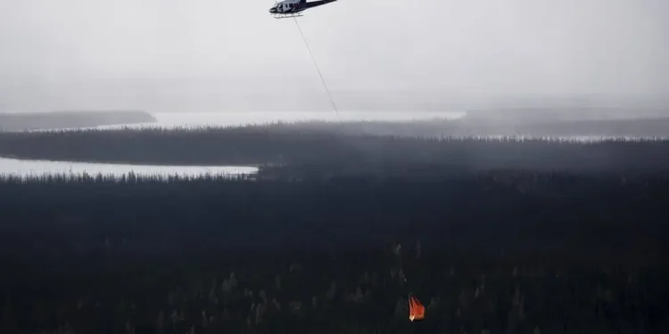 807e223d27e44b90af83709ccba3641f0733d3bec6f408f6b9ab0caee158a637