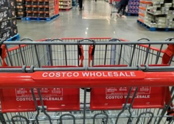 costco scaled e1741268639395