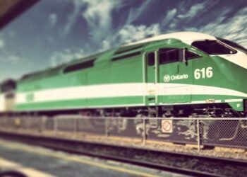 go train