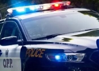 opp cruiser stock pic 1024x568