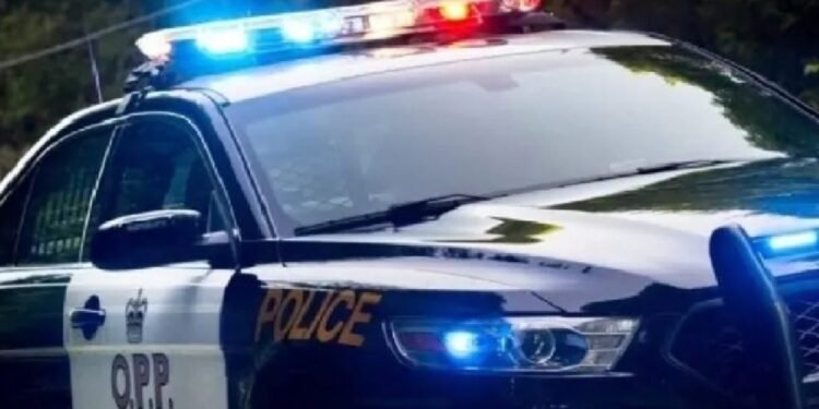 opp cruiser stock pic 1024x568