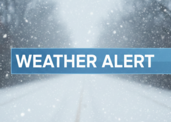 screenshot 2025 12 17 162321 1024x573 (1)