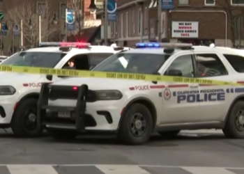 screenshot 2025 12 22 104221 1024x407