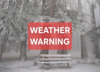 whatsapp image 2025 12 29 at 5.35.49 am 1024x553