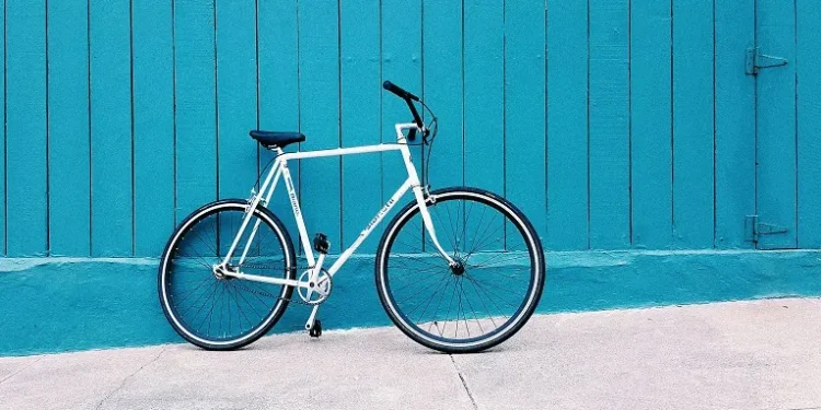 carl nenzen loven igkjieyjcko unsplash