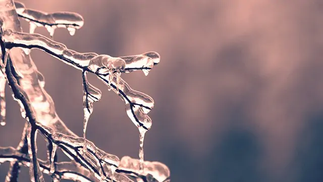 Dec. 23 Weather: Freezing Rain Possible Across Southern Ontario freezingrain 3