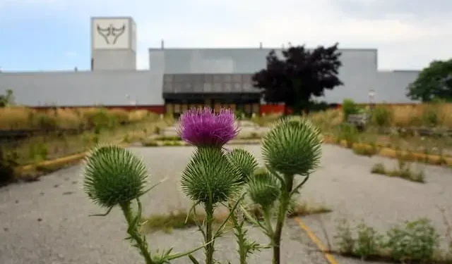 go station pic glenn 1 2 1