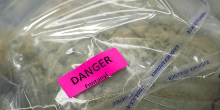 Canada Tightens Rules on Chemicals Used to Produce Fentanyl and Methamphetamine ozcckk58 1024x697