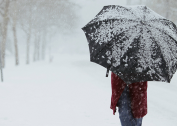 phone s 2025 12 25t173034.064 1024x576