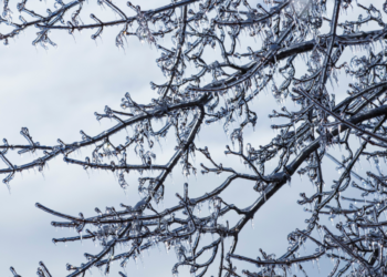 phone s 2025 12 28t172610.356 1024x576