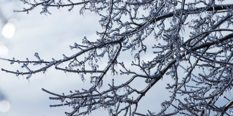 phone s 2025 12 28t172610.356 1024x576