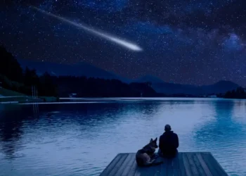 phone s 41 1 1024x576