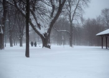 snow ontario feb 26 1024x684