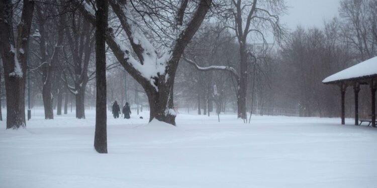 snow ontario feb 26 1024x684