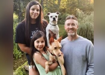 street dog philippines rescue canada 1536x864 1 1024x576