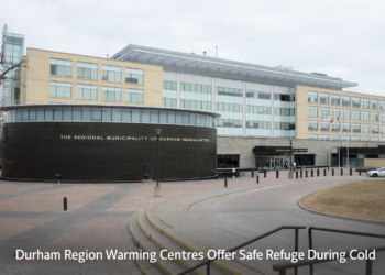 19d450b5 eef0 4ab4 864e b48185009c00