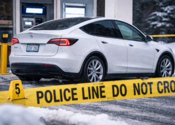 1ea96559 45c5 48ea 8e2a f994bee7253f