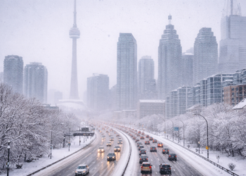 2a93c2fe f0ac 4fa3 97f2 9b996cffee42