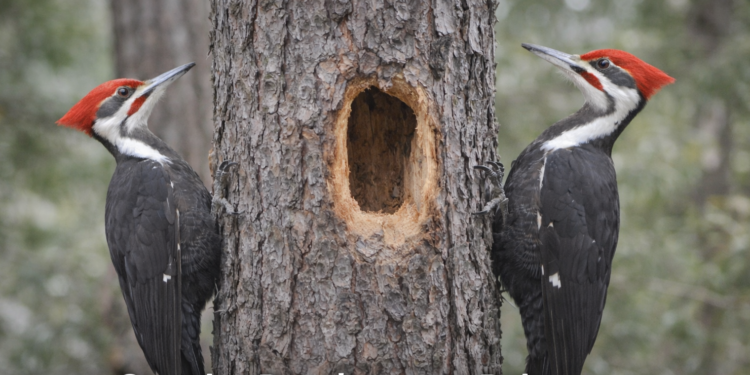 47726fa2 5a75 4fca ac82 979dfda5fd3d