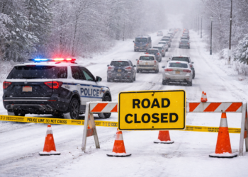 4f82ef73 f41b 4959 895e feda47ddd5d2