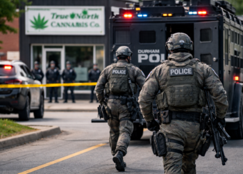 62e95e3f 9f0e 488e b761 c7560ec93e24