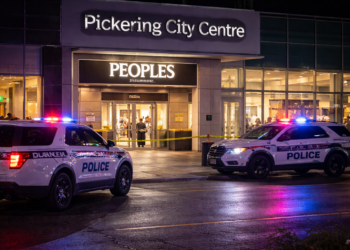 8ac2864c f1f3 4a1e a7a1 ff2feeaff8bf