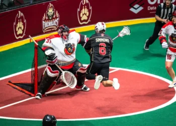 dsc0828 2048x1363 1 1024x682