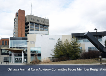 a8436692 a516 4c37 abbe add5de9e6acc (1)