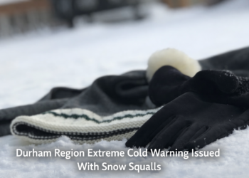 b6f9c943 03ad 4aff 88a4 f576dc118012