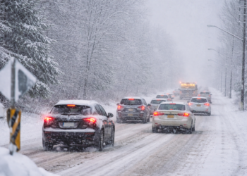 bf11c457 5c3c 450e 9c58 99fa22172e2a