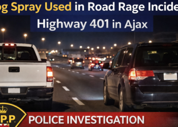 cef0414a b807 4793 95f6 785f588c45e0