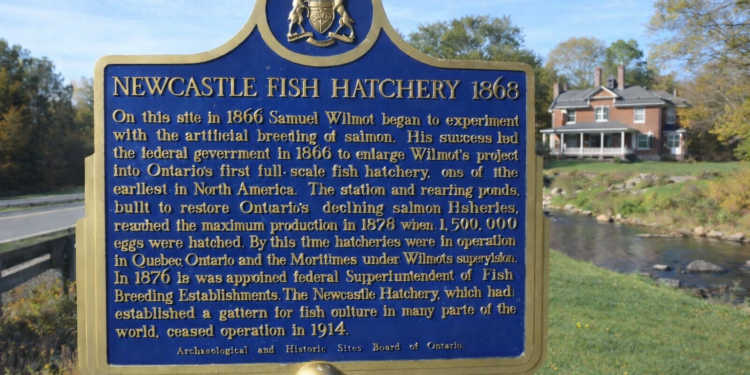 hatchery park