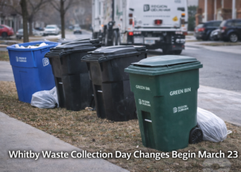 Whitby Waste Collection Day