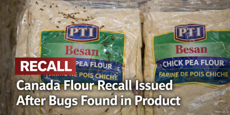 Canada Flour Recall Issued After Bugs Found in Product e420249e 273c 4325 90ce 50af02ef1cd6