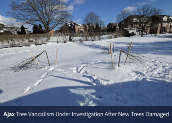 feca6212 64e6 44a9 a16d 49ca5fe28eee