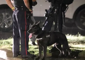 home invasion k9 police