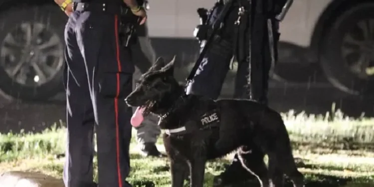 home invasion k9 police