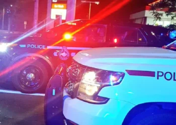 police cars night drug