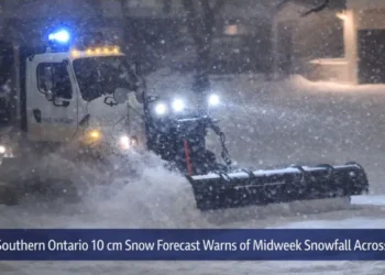 carnival cruise line donates 15 (1) (1)