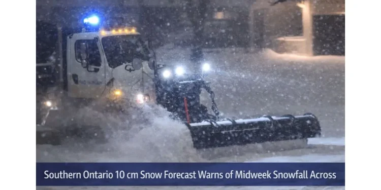 carnival cruise line donates 15 (1) (1)