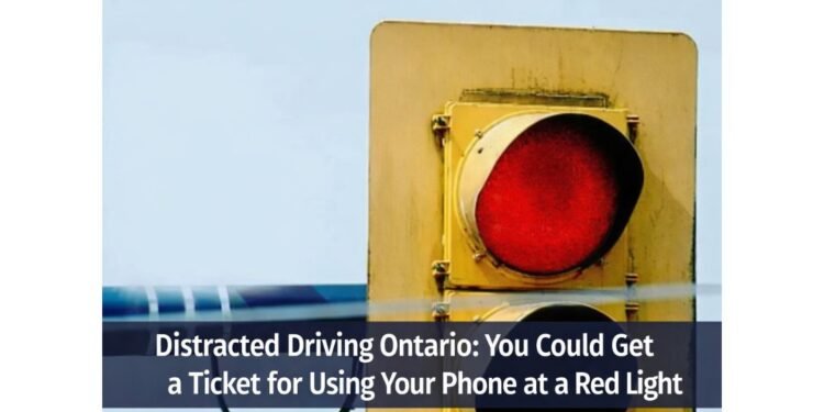 carnival cruise line donates 15 2026 02 05t214450.813