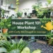 house plant 101 workshop with carly mcdougall in uxbridge