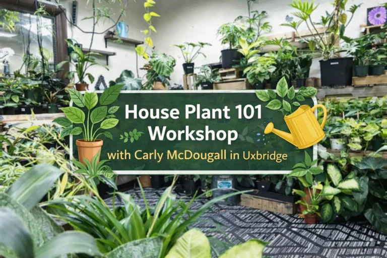 house plant 101 workshop with carly mcdougall in uxbridge