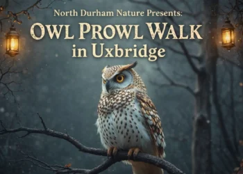north durham nature presents owl prowl walk in uxbridge