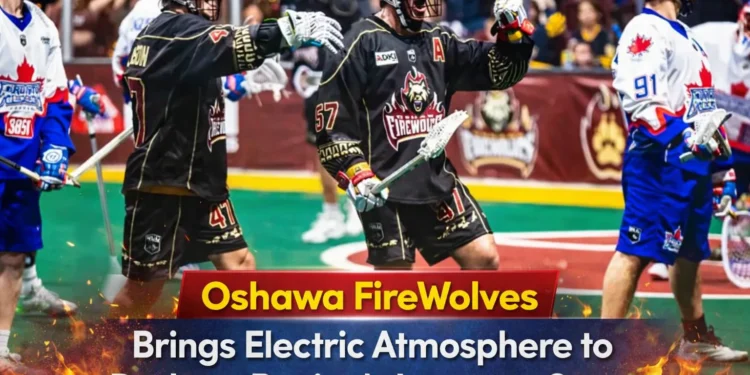 oshawa firewolves bring electric atmosphere to durham region's lacrosse scene