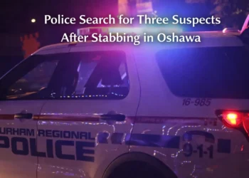 police search for three suspects after stabbing in oshawa