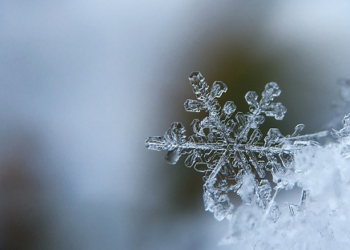 Durham cold weather warning February 2026