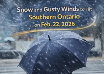 snow and gusty winds to hit southern ontario on feb. 22, 2026