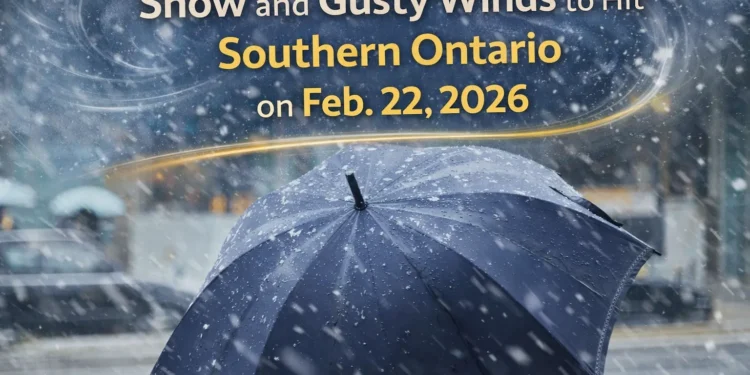 Feb. 22 Weather: Snow and Gusty Winds Incoming Across Southern Ontario snow and gusty winds to hit southern ontario on feb. 22, 2026