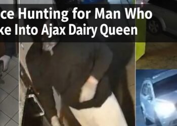 Ajax Dairy Queen